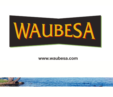 Waubesa.com is an ideal name for a product, company or  business that is based near Lake Waubesa in Wisconsin.